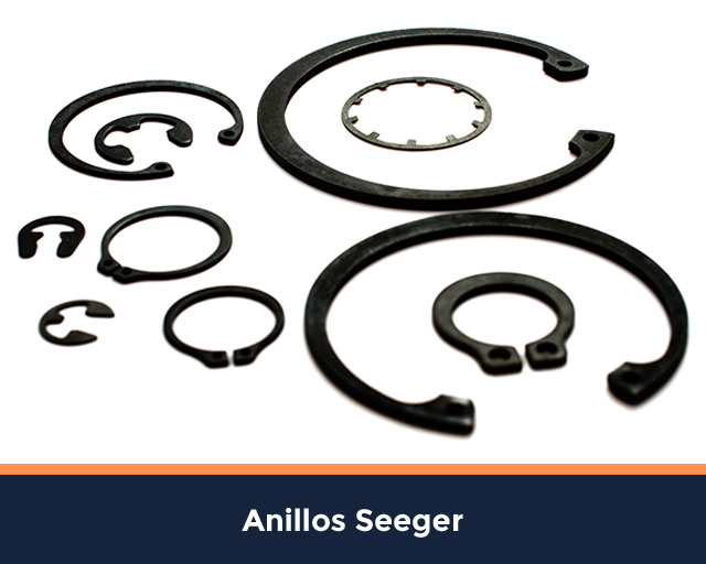 anillos seeger